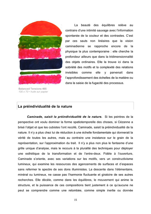 Dossier-artistique_Germain-Caminade_2013_Avril-2013-15